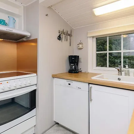 5 Person In Saeby-by Traum * Sæby
